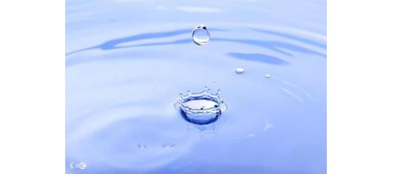 養(yǎng)蝦先養(yǎng)水！養(yǎng)水的關(guān)鍵核心原來是它！